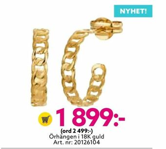 Albrekts Guld Örhängen i 18K guld erbjuda