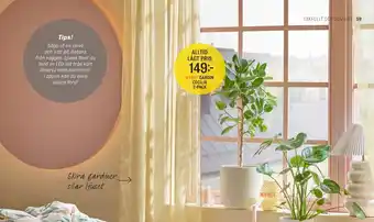 Mio GARDIN CECILIA 2-PACK erbjuda