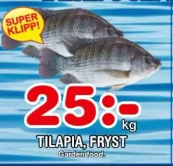 Nya Pulsen TILAPIA, FRYST erbjuda