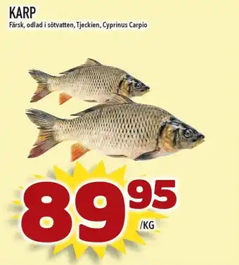 Matvärlden Tensta KARP erbjuda