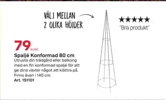 Spaljé Konformad 80 cm