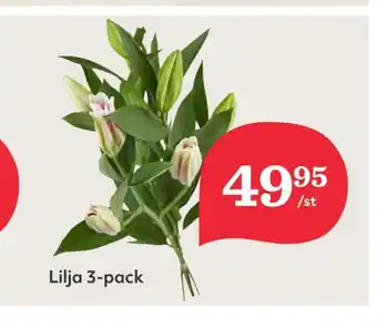 Hemköp Dafgårds blommor erbjuda