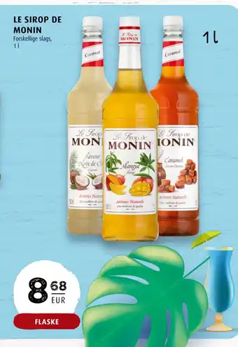 Scandinavian Park LE SIROP DE MONIN erbjuda