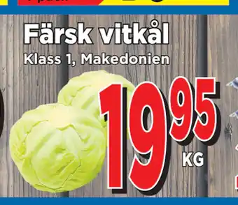 Supergrossen Färsk vitkål erbjuda