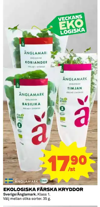 Coop EKOLOGISKA FÄRSKA KRYDDOR erbjuda