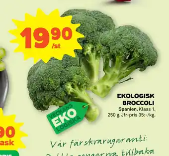 Stora Coop EKOLOGISK BROCCOLI erbjuda