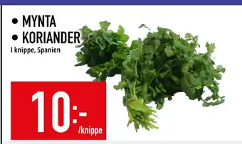 Matdax MYNTA • KORIANDER erbjuda