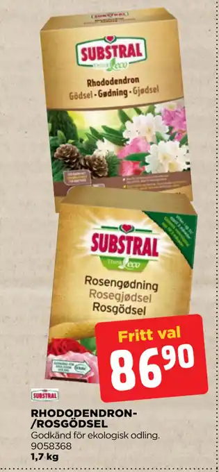 Jem&Fix RHODODENDRON/ROSGÖDSEL erbjuda