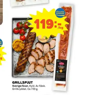 Scan grillspjut