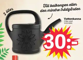 DollarStore Vattenkanna erbjuda