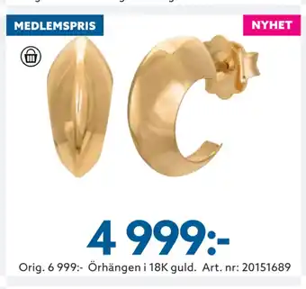 Albrekts Guld Örhängen i 18K guld erbjuda