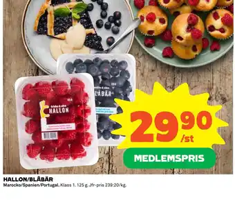 Coop HALLON/BLÅBÄR erbjuda