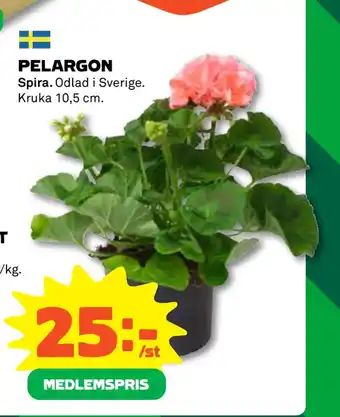 Coop PELARGON erbjuda