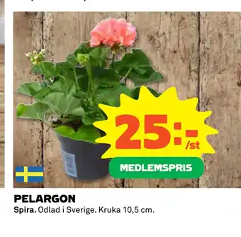 Coop PELARGON erbjuda