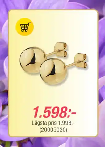 Guldfynd Örhängen i 18K guld erbjuda