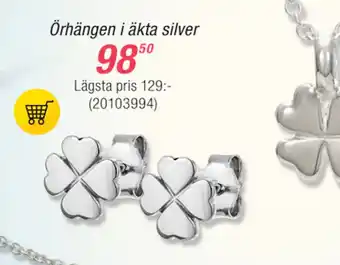 Guldfynd Örhängen i äkta silver erbjuda