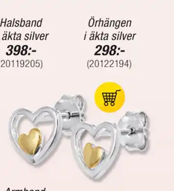 Guldfynd Örhängen i äkta silver erbjuda