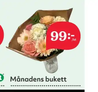 Hemköp Garant blommor erbjuda