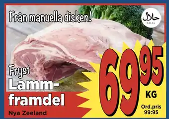 Supergrossen Lammframdel erbjuda