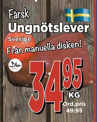 Supergrossen Ungnötslever erbjuda