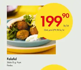 Snabbgross Falafel erbjuda