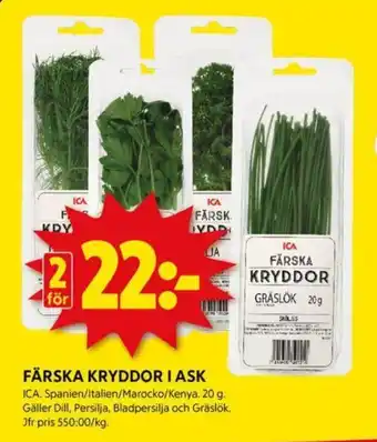 ICA Kvantum FÄRSKA KRYDDOR I ASK erbjuda