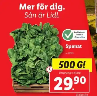 Lidl Spenat erbjuda