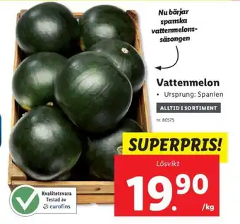 Lidl Vattenmelon erbjuda