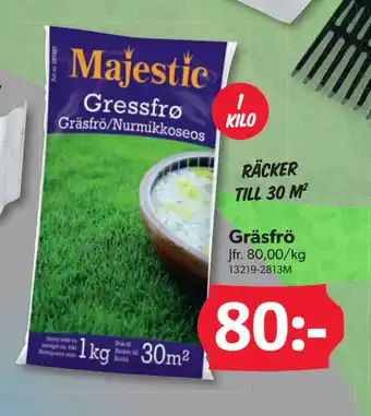 Gräsfrö