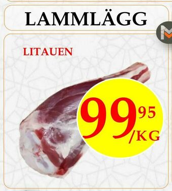 Lammlägg