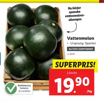 Lidl Vattenmelon erbjuda