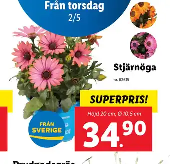 Lidl Stjärnöga erbjuda