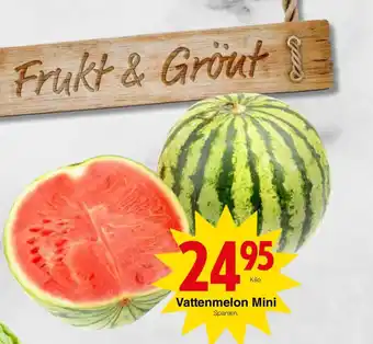 Matöppet Vattenmelon Mini erbjuda