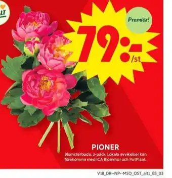 ICA Maxi Blomsterboda blommor erbjuda