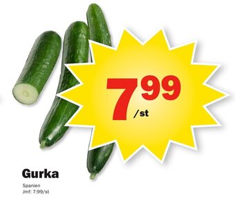 Pekås Gurka erbjuda