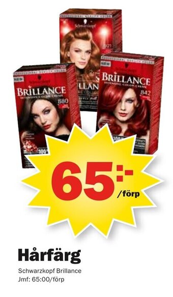 Pekås Schwarzkopf Brillance Hårfärg erbjuda