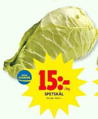 ICA Kvantum Spetskål erbjuda