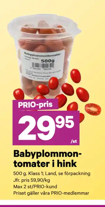 City Gross Babyplommontomater i hink erbjuda