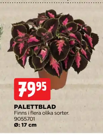 Jem&Fix PALETTBLAD erbjuda