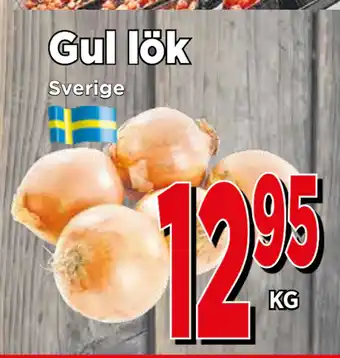 Supergrossen Gul lök erbjuda