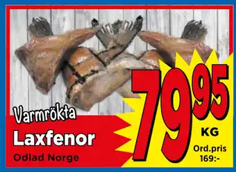 Supergrossen Laxfenor erbjuda