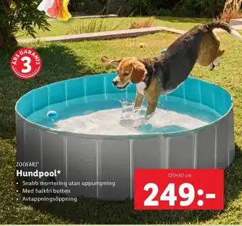 Lidl Hundpool erbjuda