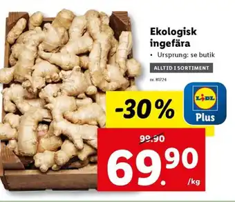 Lidl Ekologisk ingefära erbjuda