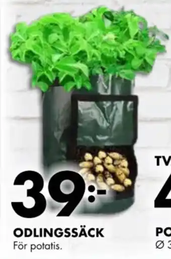 ÖoB ODLINGSSÄCK erbjuda