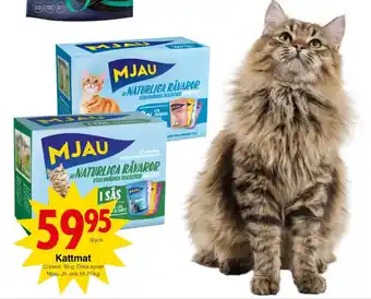 Matöppet Kattmat erbjuda