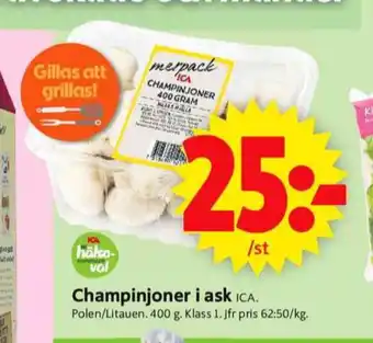 ICA Supermarket Ica champinjoner erbjuda