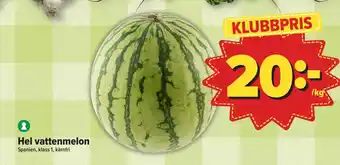 Hel vattenmelon