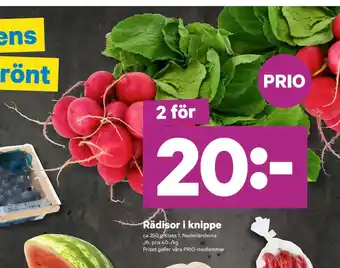 City Gross Rädisor i knippe erbjuda