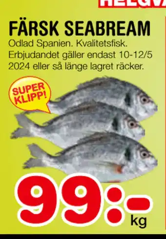 Nya Pulsen FÄRSK SEABREAM erbjuda
