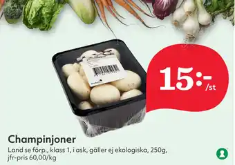 Hemköp Champinjoner erbjuda